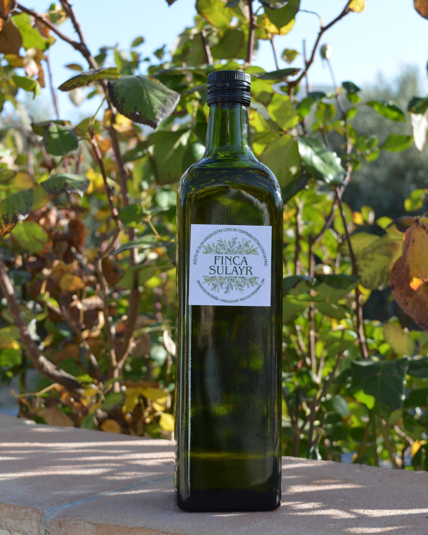 Botella de vidrio AOVE 1L